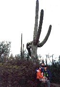 Andy McDougal; Ben Dorrough; Dan Dorrough; Ruth Bennett McDougal Dorrough; Death Valley; Family cactus
